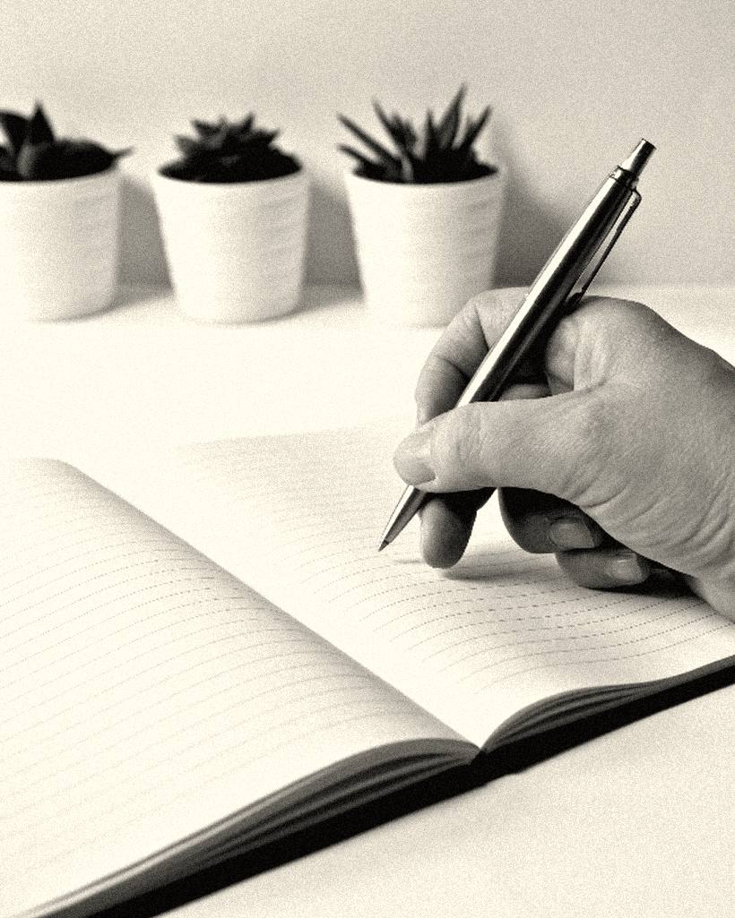 A hand writing in an open notebook beside three small plants.